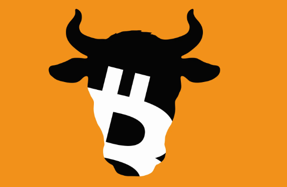 Latest Florida food project wants to link Bitcoiners with cows